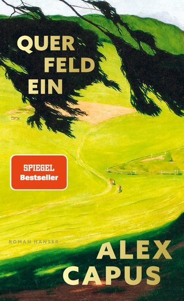 die zeit im sommerlicht